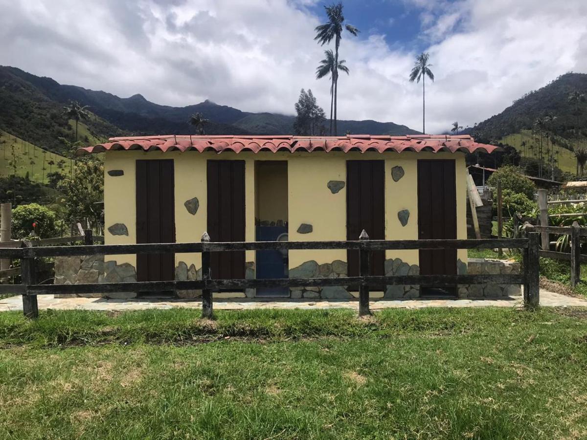 Refugio Nidos Del Condor Cocora Salento Exterior foto